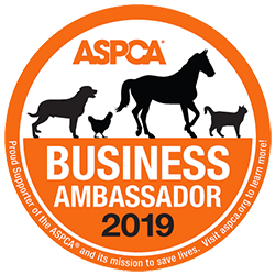 Business Ambassador 2019